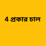 4 প্রকার চাল